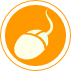 Siti Web